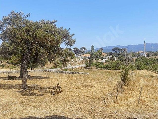 Milas, Muğla içerisinde satılık Arsa