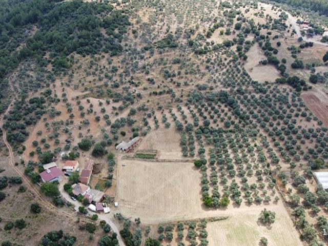 Milas, Muğla içerisinde satılık Arsa
