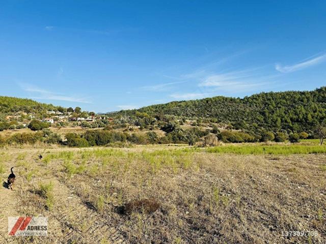 Çamovalı, Milas içerisinde satılık Arsa
