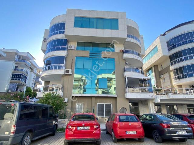 Milas, Muğla içerisinde kiralık mülk