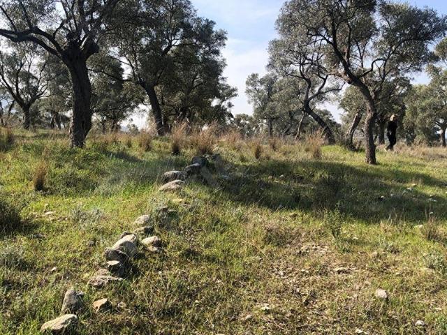 Milas, Muğla içerisinde satılık mülk