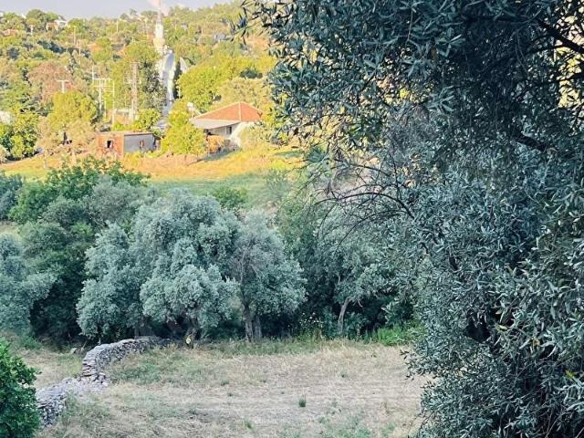 Milas, Muğla içerisinde satılık Arsa