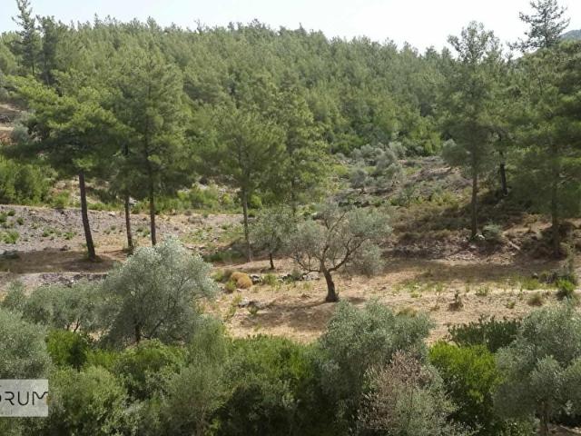 Milas, Muğla içerisinde satılık Arsa