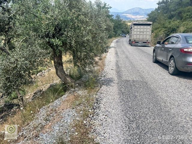 Milas, Muğla içerisinde satılık mülk