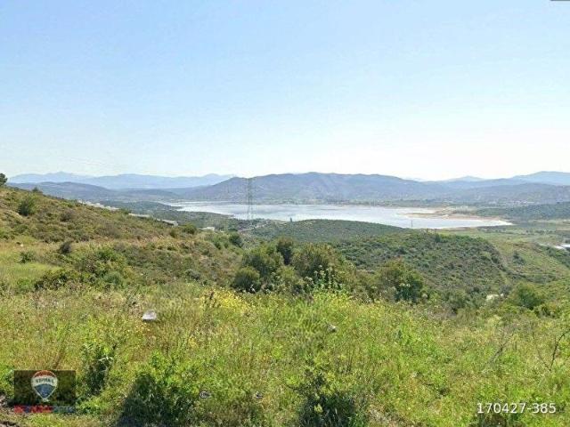 Milas, Muğla içerisinde satılık Arsa