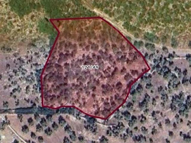 Milas, Muğla içerisinde satılık mülk