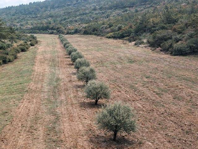 Milas, Muğla içerisinde satılık Arsa