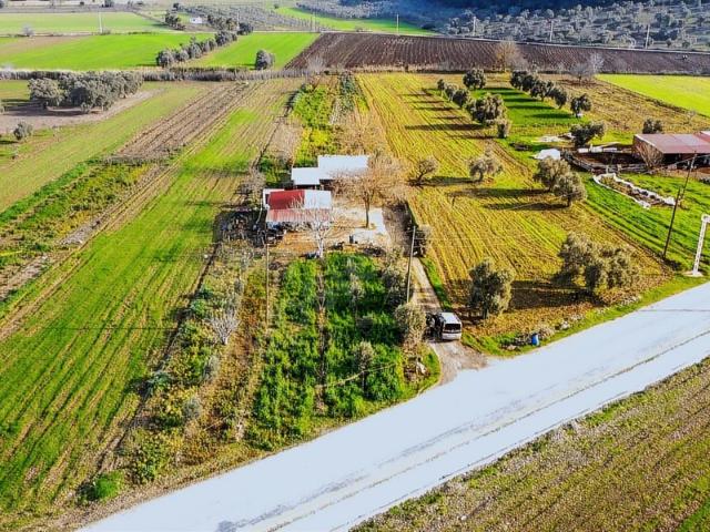 Ağaçlıhüyük, Milas içerisinde satılık Arsa