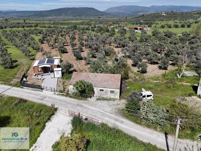 Milas, Muğla içerisinde satılık Villa