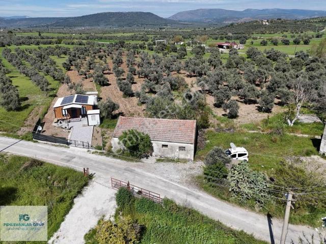 Milas, Muğla içerisinde satılık Villa