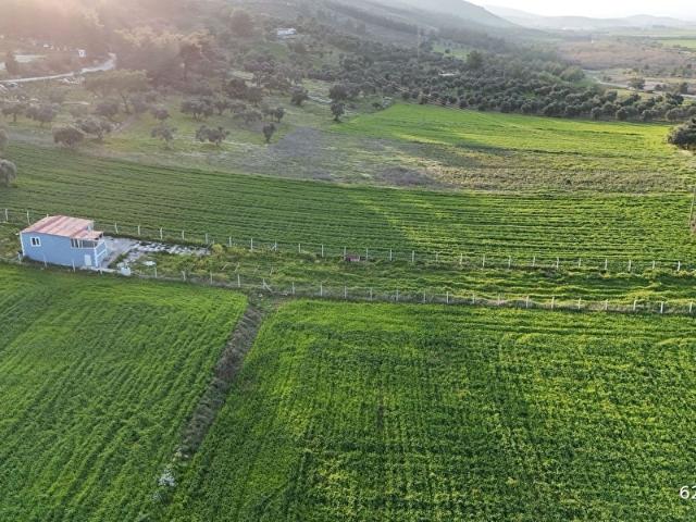 Muğla Merkez içerisinde satılık Villa Muğla Merkez içerisinde satılık Villa