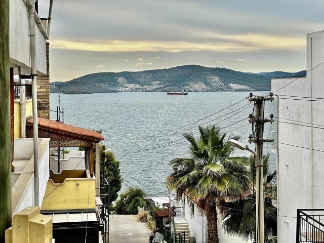 Milas, Muğla içerisinde satılık mülk