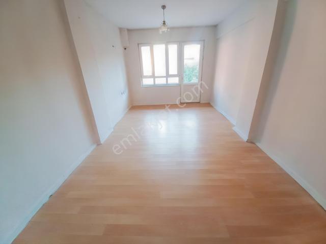 Milas, Muğla içerisinde kiralık mülk