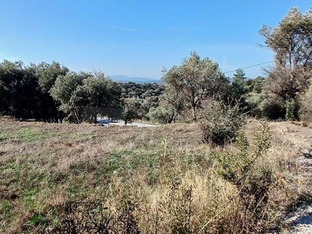 Milas, Muğla içerisinde satılık Arsa