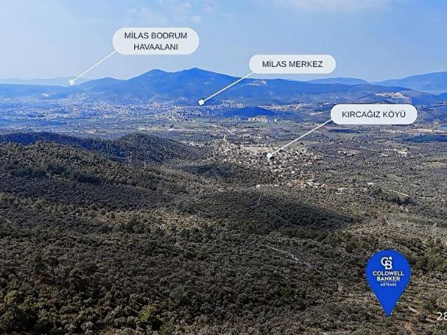 Milas, Muğla içerisinde satılık mülk