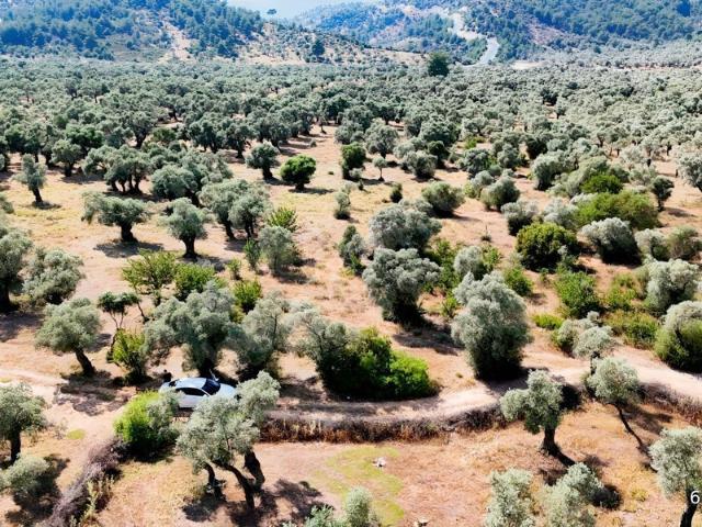Kızılcayıkık, Milas içerisinde satılık mülk