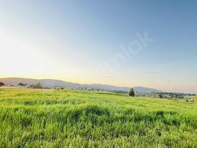 Milas, Muğla içerisinde satılık Arsa
