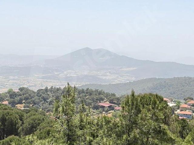 Milas, Muğla içerisinde satılık mülk