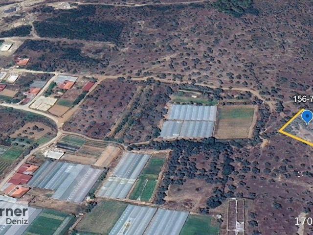 Milas, Muğla içerisinde satılık mülk