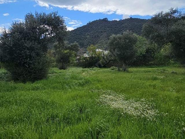 Milas, Muğla içerisinde satılık Arsa