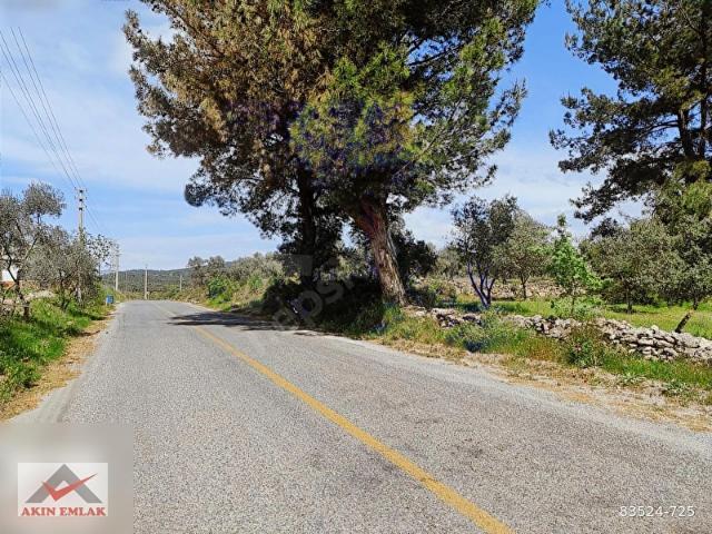 Milas, Muğla içerisinde satılık Arsa