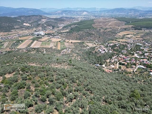 Milas, Muğla içerisinde satılık mülk
