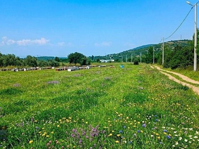 Milas, Muğla içerisinde satılık Arsa