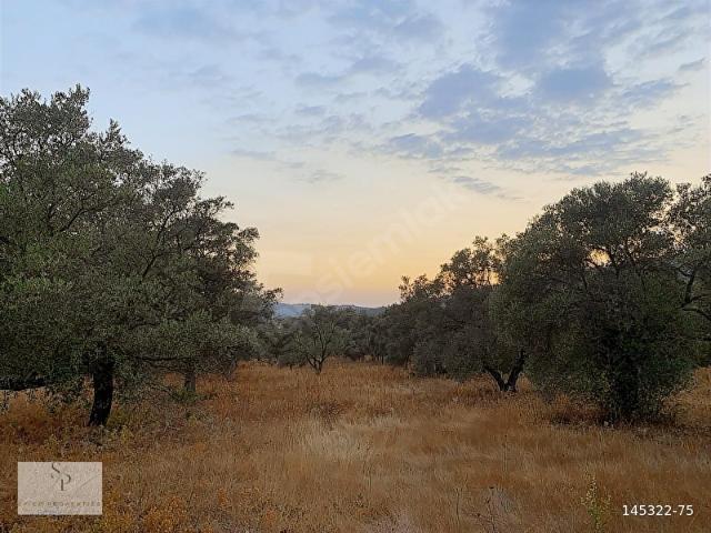 Milas, Muğla içerisinde satılık Arsa