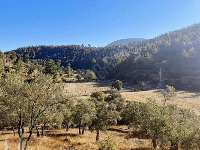 Milas, Muğla içerisinde satılık mülk