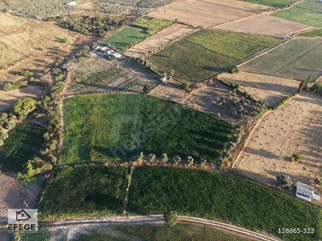 Milas, Muğla içerisinde satılık Arsa