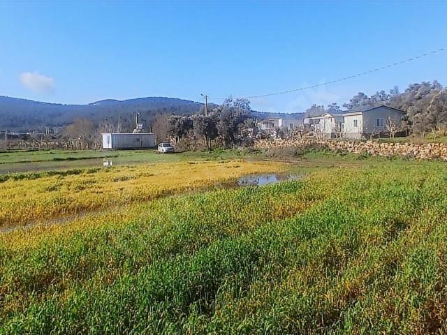 Milas, Muğla içerisinde satılık Arsa
