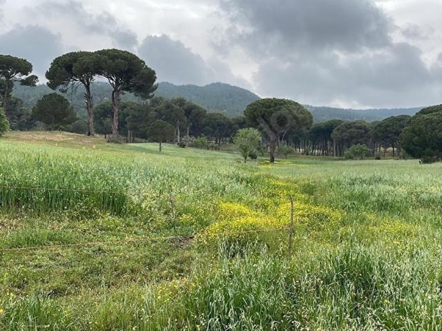 Milas, Muğla içerisinde satılık Arsa