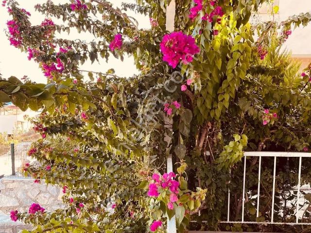 Milas, Muğla içerisinde satılık Villa