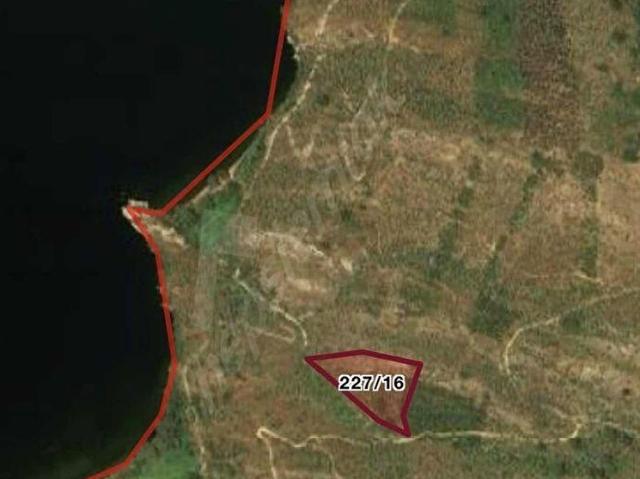 Milas, Muğla içerisinde satılık mülk
