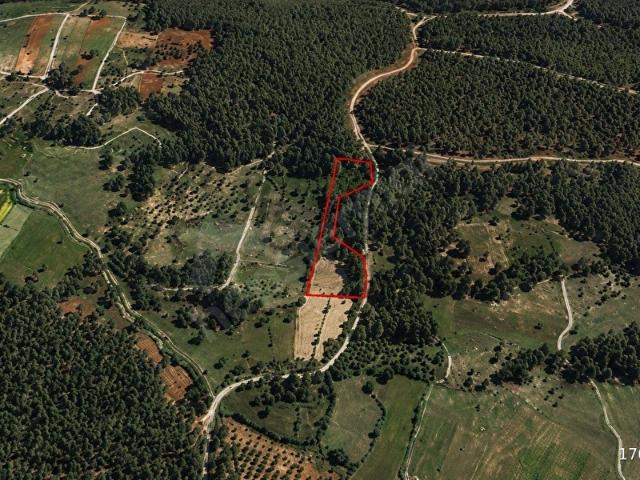 Milas, Muğla içerisinde satılık Arsa