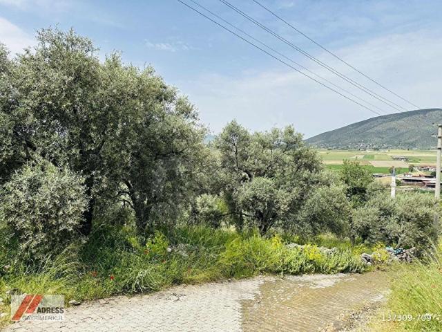 Savran, Milas içerisinde satılık mülk