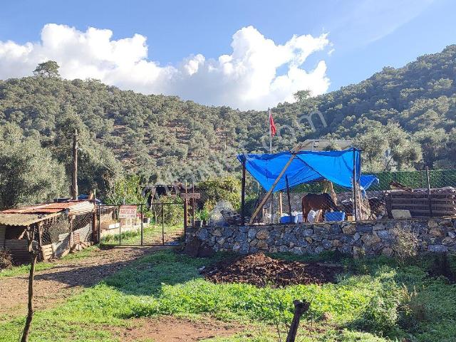 Milas, Muğla içerisinde satılık Villa