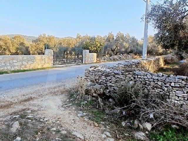 Milas, Muğla içerisinde satılık mülk