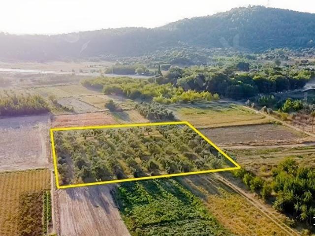 Milas, Muğla içerisinde satılık Arsa