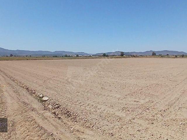 Milas, Muğla içerisinde satılık Arsa