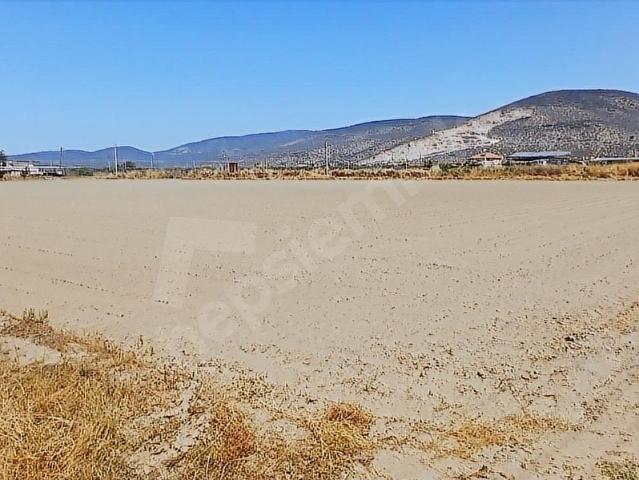 Milas, Muğla içerisinde satılık Arsa