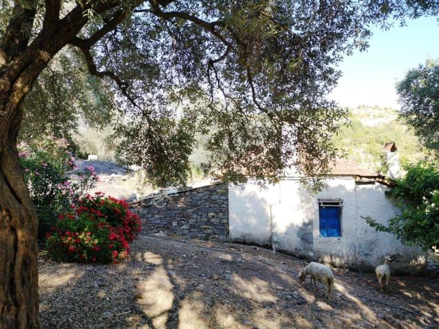 Milas, Muğla içerisinde satılık Bahce kati