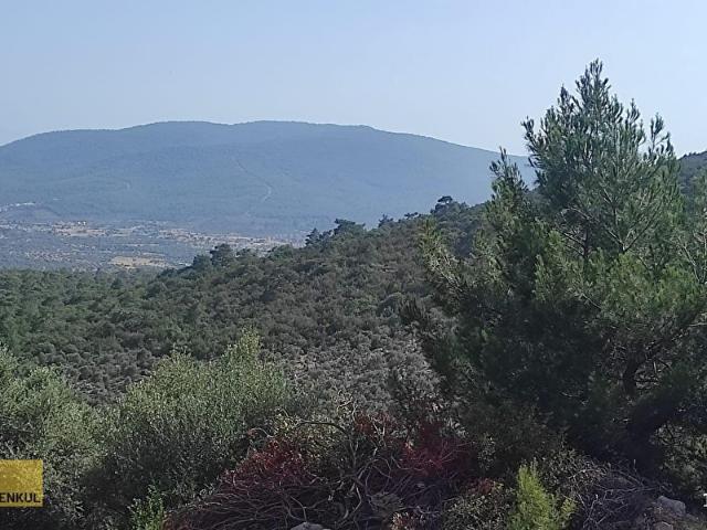 Didim, Aydin içerisinde satılık Arsa