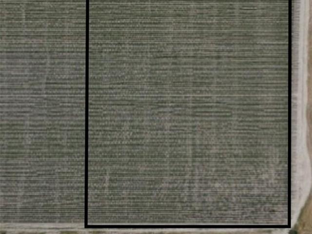 Land for sale in Hidalgo, Texas