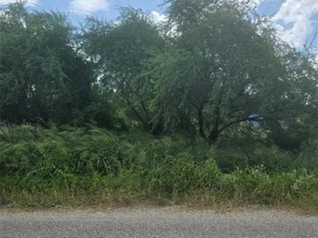 Land for sale in Hidalgo, Texas