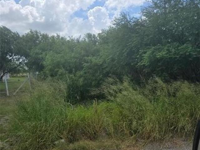 Land for sale in Mercedes, Hidalgo County