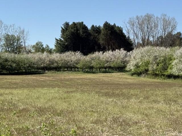 Land for sale in Romeo