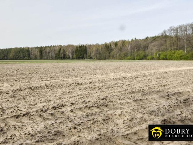 Grunt na sprzedaż w Milejczyce, Podlaskie