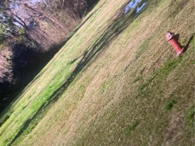 Land for sale in Lutcher, Louisiana