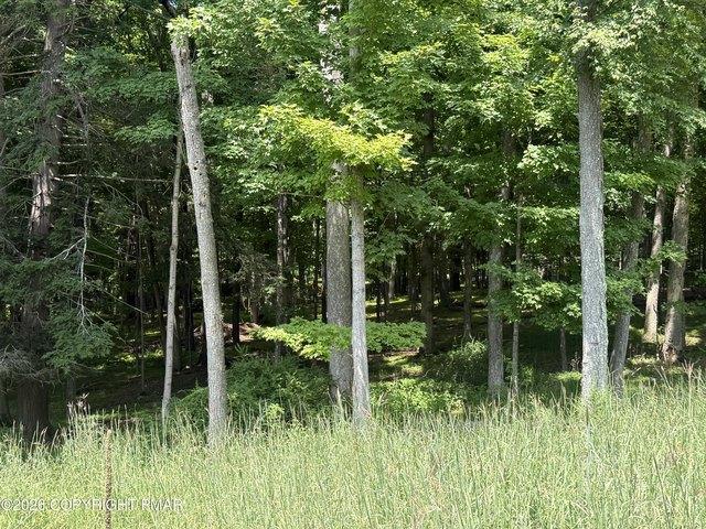 Land for sale in Bushkill, Lehman Township